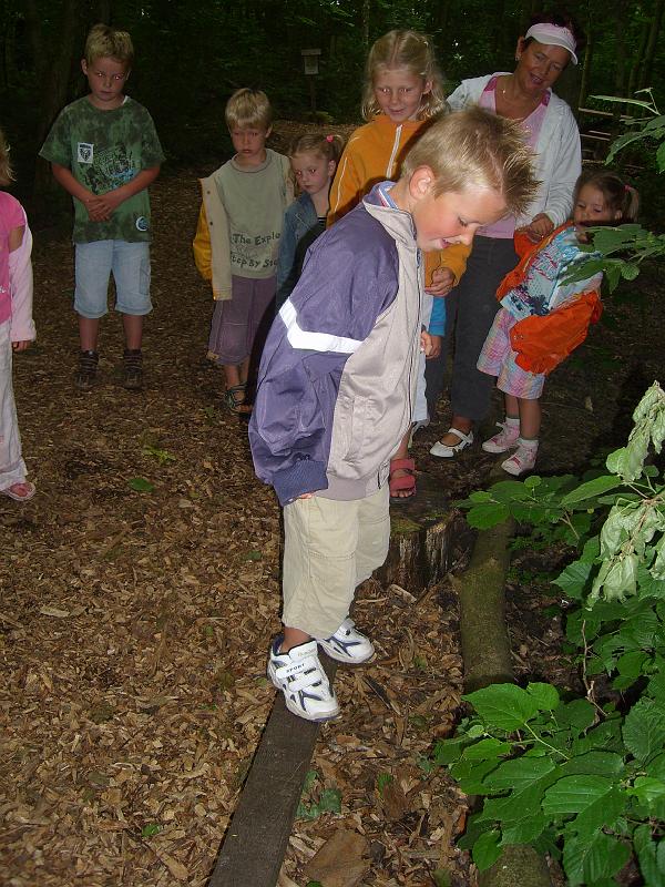 070612 skoalreiske beukers 049.jpg
